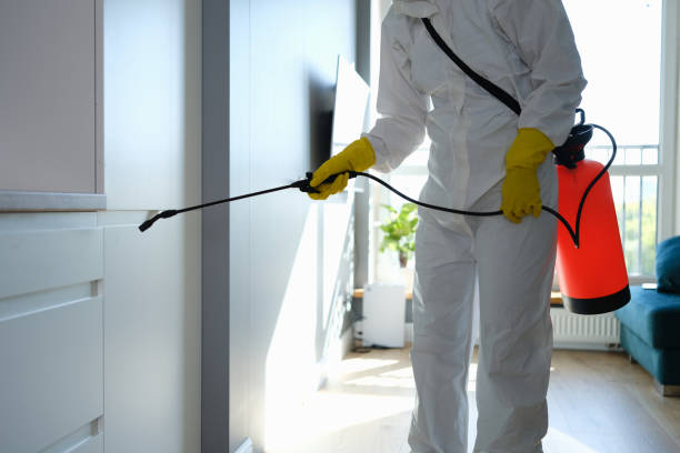 Best Post-Remediation Services in Gordonsville, VA